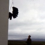img-coll-0269