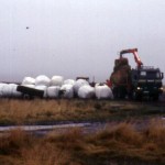 img-coll-0126